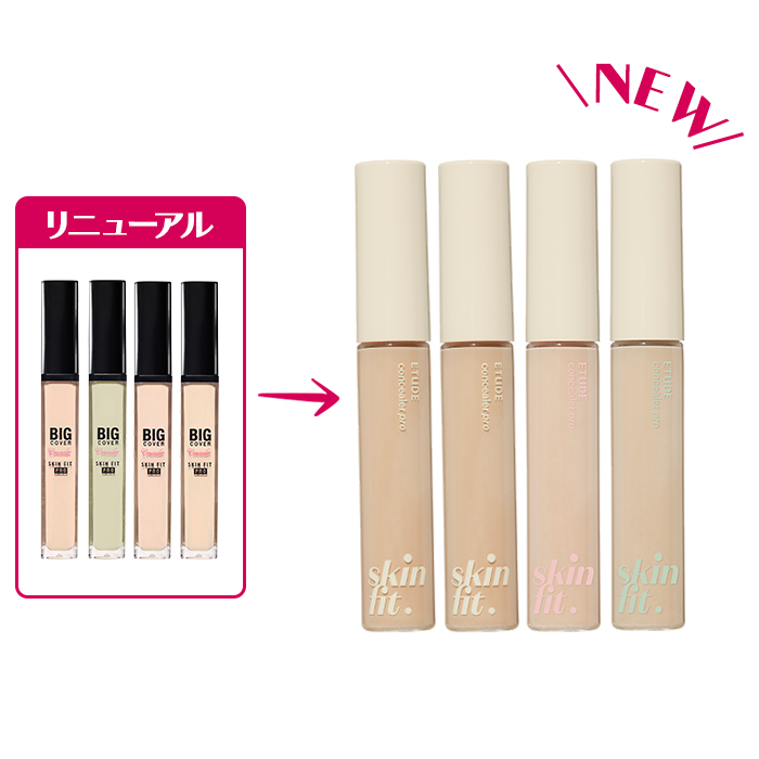 ビッグカバーフィットコンシーラーN