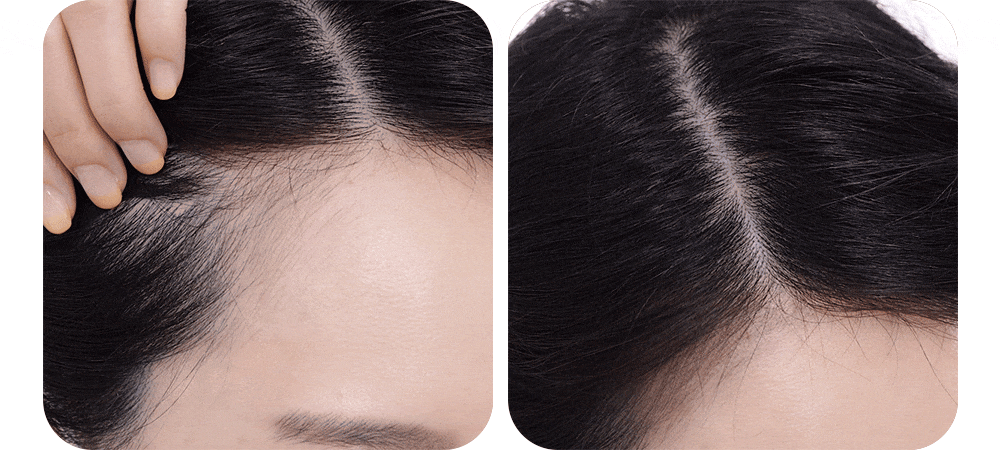 マルチシーラー