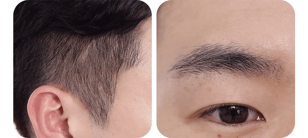 マルチシーラー